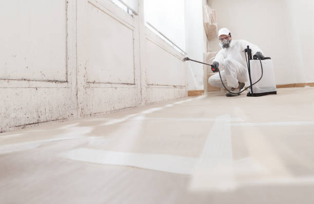 24/7 Emergency Mold Removal experts in Siler City, NC
